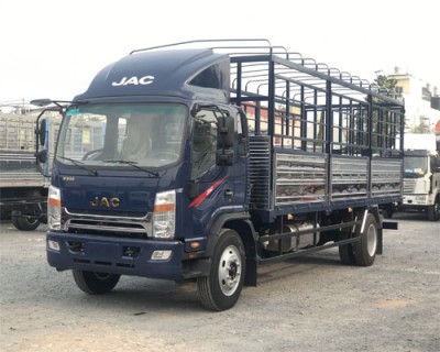 Xe Tải JAC 9.1 Tấn (N900S)