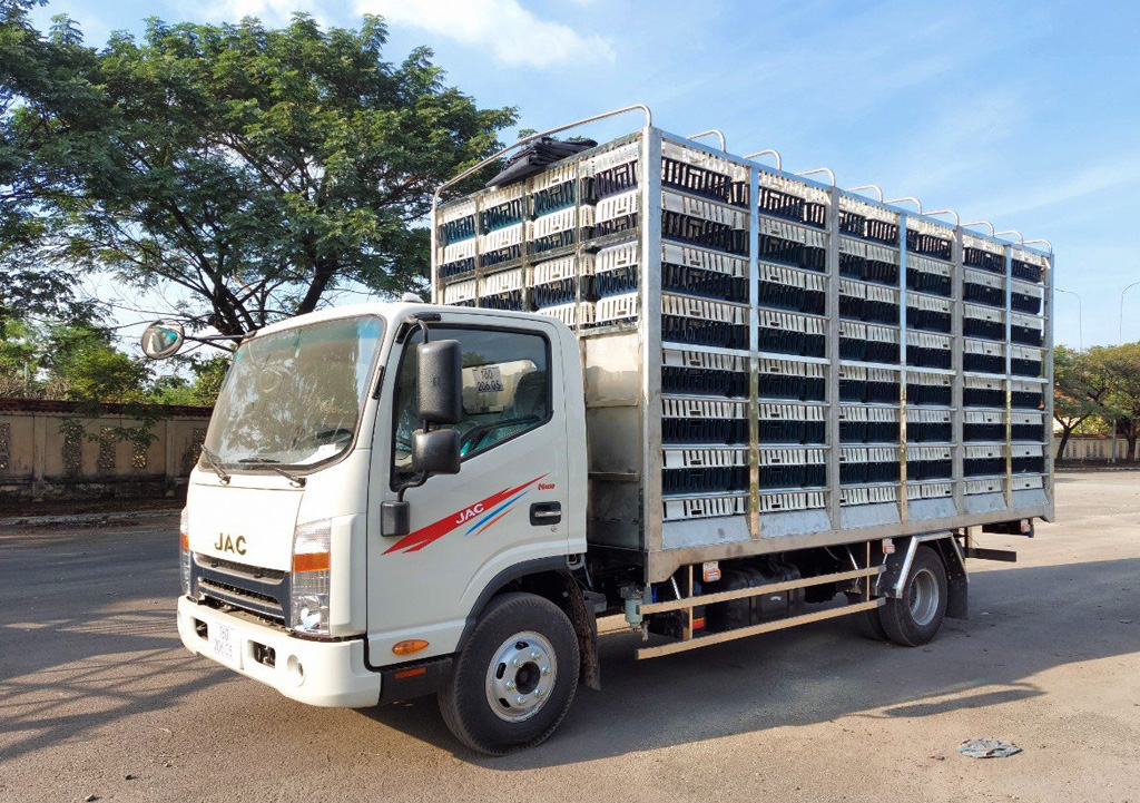 jac n500 chở gà