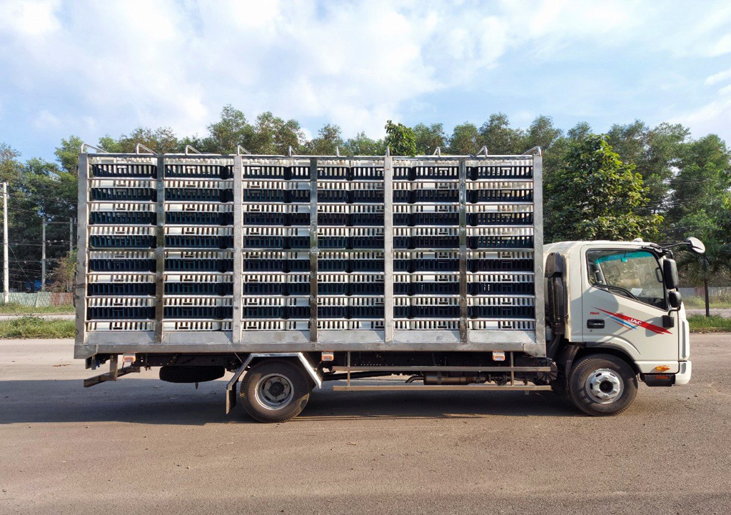 jac n500 chở gà