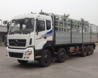 Xe tải Trường Giang 21 Tấn DFM YC11TE 10X4 động cơ 250Kw